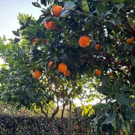 South Italy Summer House San Sostene Marina