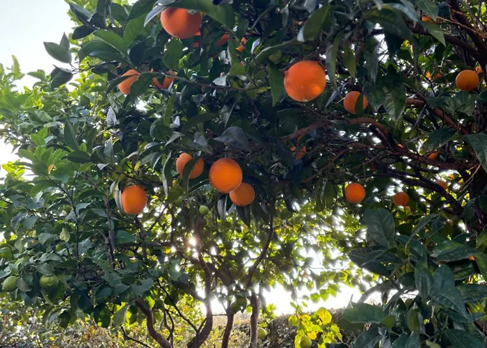 South Italy Summer House San Sostene Marina